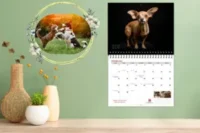 2025 Pet Calendar Contest​ – Celebrate Your Pet And Win Amazing Prizes
