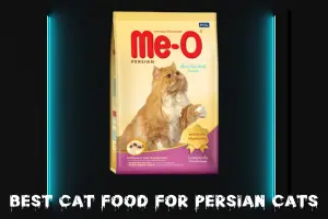 Best Cat Food For Persian Cats – Top Healthy & Tasty Choices