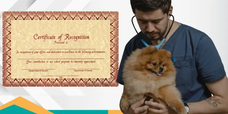 Best Tips To Use Your Certification Professionally