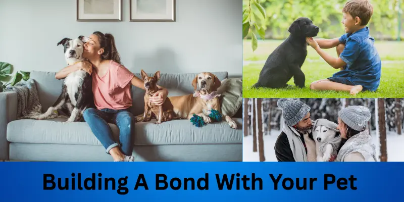 Building A Bond With Your Pet
