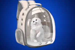 Cat Travel Bag – Travel Smart With Your Furry Friend