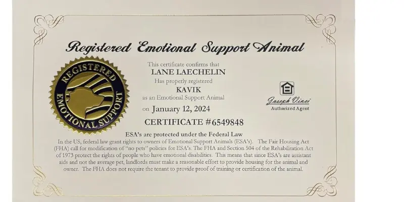 Certification And Legal Documentation
