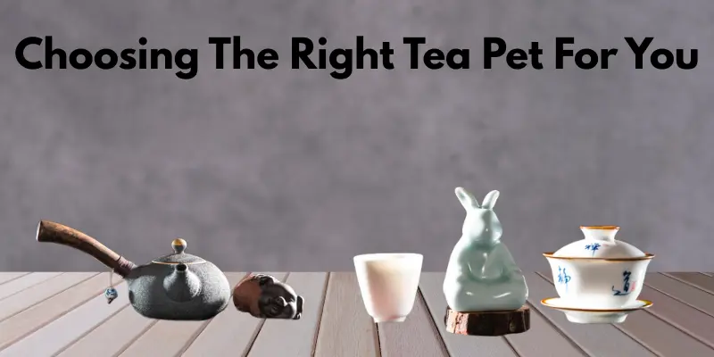 Choosing The Right Tea Pet For You