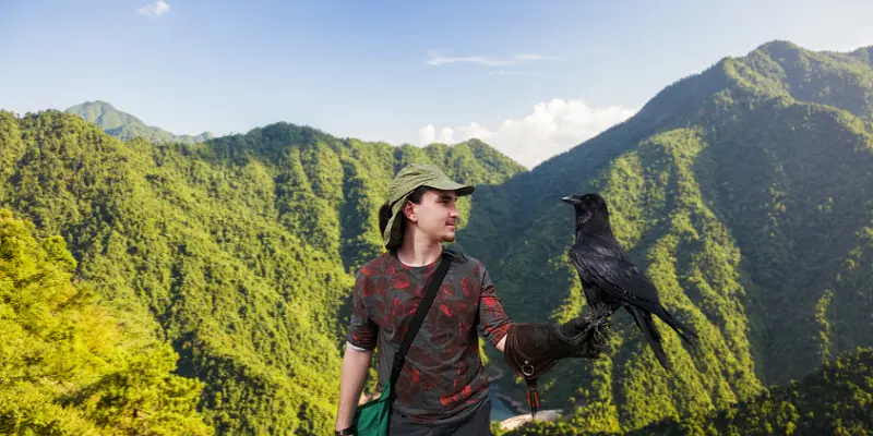 Common Challenges When Owning A Pet Raven