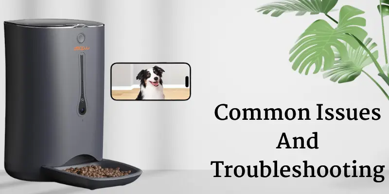 Common Issues And Troubleshooting