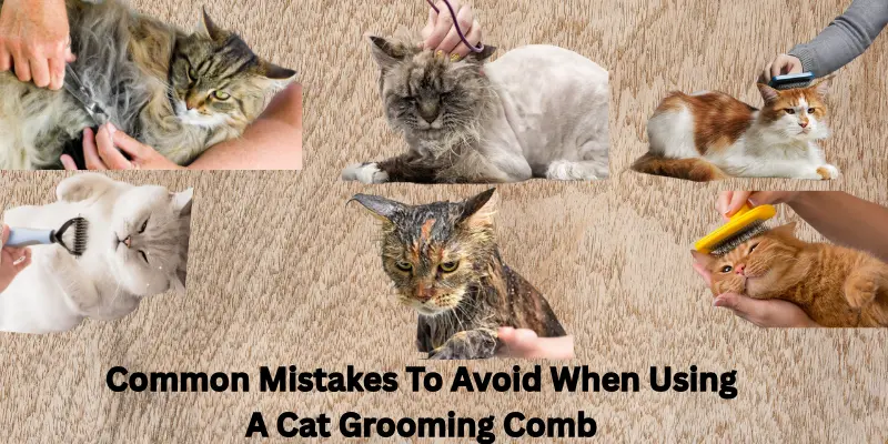 Common Mistakes to Avoid When Using A Cat Grooming Comb