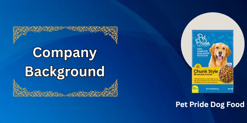 Company Background