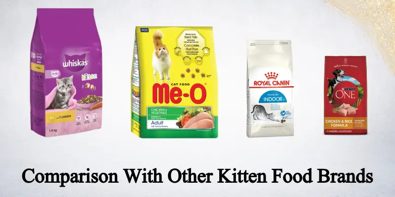 Comparison With Other Kitten Food Brands