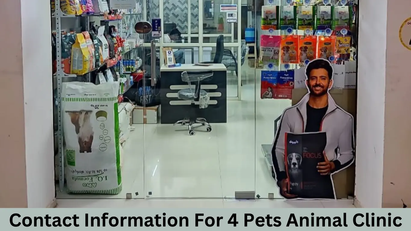 Contact Information for 4 Pets Animal Clinic