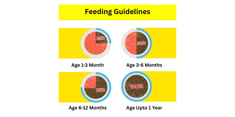 Feeding Guidelines