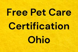 Free Pet Care Certification Ohio – Start Your Journey Today