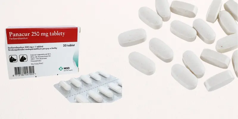 How Do Panacur Tablets Work