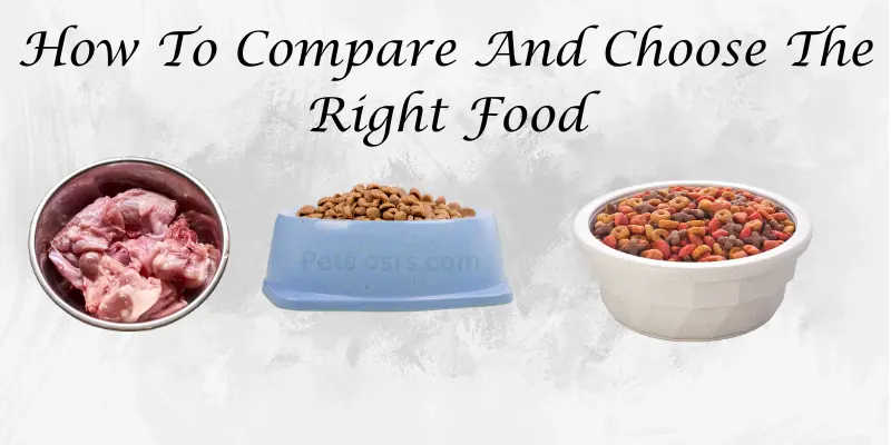 How To Compare And Choose The Right Food