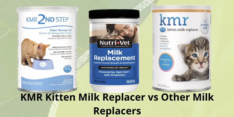 KMR Kitten Milk Replacer vs Other Milk Replacers
