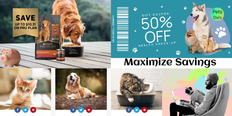 Maximize Savings