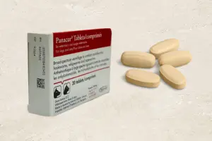 Panacur Tablets – Effective Worm Treatment For Pets