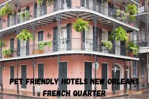 Pet Friendly Hotels New Orleans French Quarter