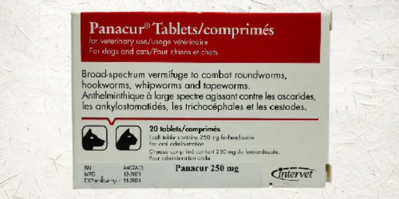Precautions And Contraindications