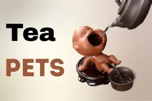 Tea Pets – History, Role & How To Care For Them