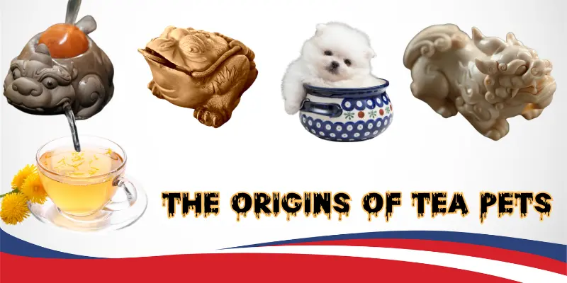 The Origins Of Tea Pets