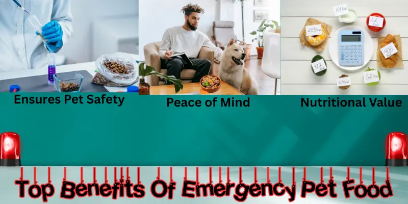 Top Benefits Of Emergency Pet Food