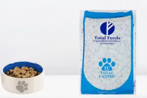 Total Dog Food Route – The Best Guide For Healthy Dog Nutrition