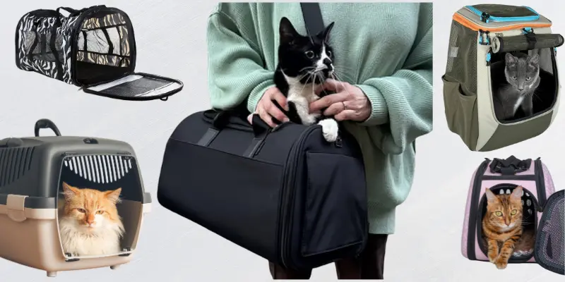 Types Of Cat Travel Bags