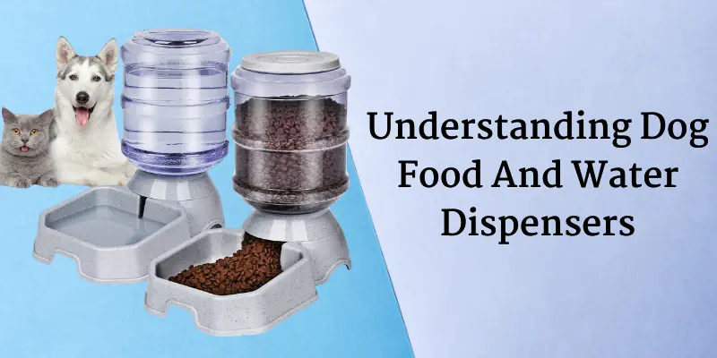Understanding Dog Food And Water Dispensers
