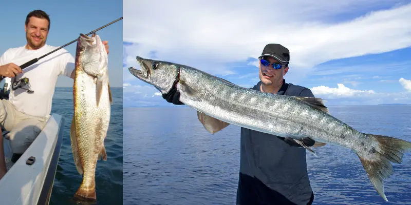 Understanding Fish Behaviour