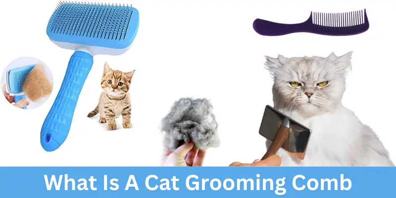 What Is A Cat Grooming Comb