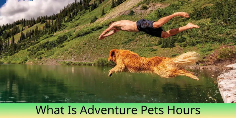 What Is Adventure Pets Hours