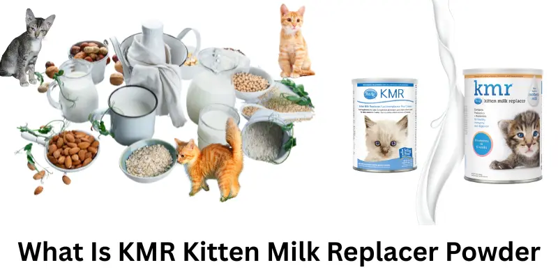 What is KMR Kitten Milk Replacer Powder