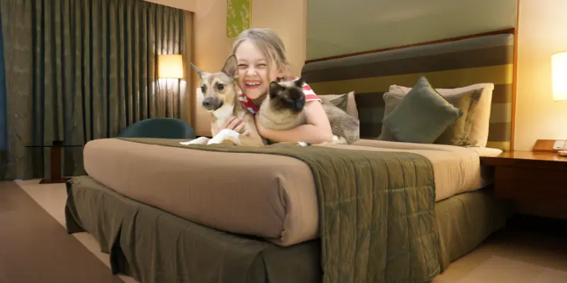 Why Choose Pet Friendly Hotels In The French Quarter